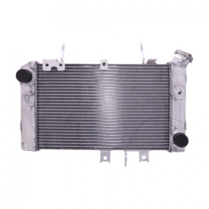 Radiateur Eau JMP Suzuki DL...