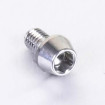 Vis à tête BTR Conique en Inox Poli M6 x 10mm 1.00mm