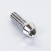 Vis à tête BTR Conique en Inox Poli M6 x 20mm 1.00mm