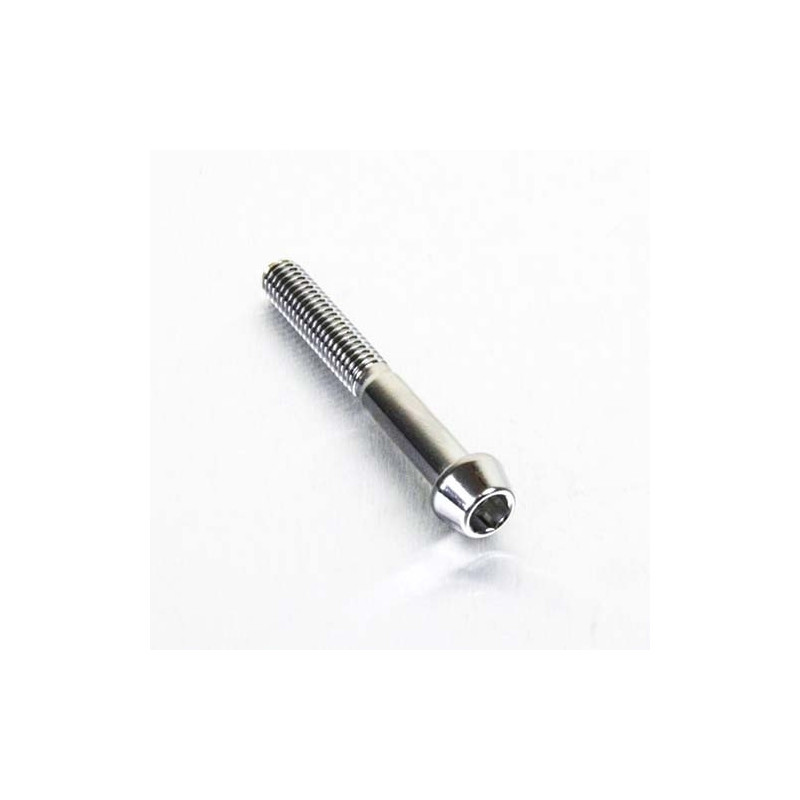 Vis à tête BTR Conique en Inox Poli M6 x 45mm 1.00mm