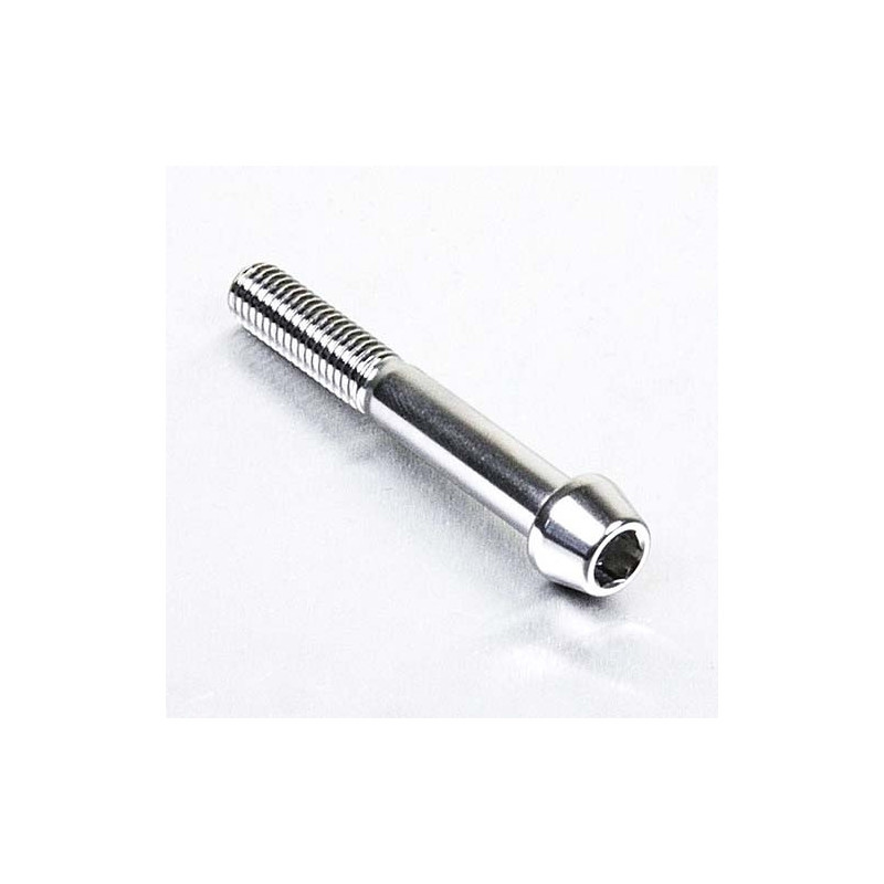 Vis à tête BTR Conique en Inox Poli M8 x 55mm 1.25mm