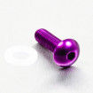 Vis à tête bombée en Aluminium M6 x 20mm XS (1.00mm)