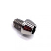 Vis Titane tête BTR conique M6 x 1.00mm x 8mm