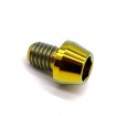 Vis Titane tête BTR conique M6 x 1.00mm x 8mm