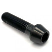 Vis Titane tête BTR conique M10 x (1.25mm) x 40mm