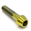 Vis Titane tête BTR conique M10 x (1.25mm) x 45mm