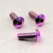 Vis Titane tête Bombée M4 x 0.7mm x 12mm