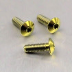 Vis Titane tête Bombée M4 x 0.5mm x 12mm