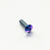 Vis Titane tête Bombée M4 x 0.7mm x 15mm