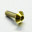 Vis Titane tête Bombée M5 x 0.8mm x 16mm