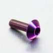 Vis Titane tête Bombée M5 x 0.8mm x 16mm