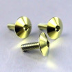 Vis Titane tête Bombée M5 x 0.8mm x 16mm XL