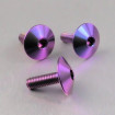 Vis Titane tête Bombée M5 x 0.8mm x 16mm XL