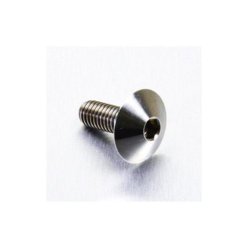 Vis Titane tête Bombée M6 x 1.00mm x 16mm