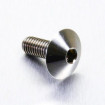 Vis Titane tête Bombée M6 x 1.00mm x 16mm