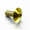 Vis Titane tête Bombée M6 x 1.00mm x 16mm