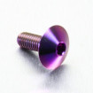 Vis Titane tête Bombée M6 x 1.00mm x 16mm