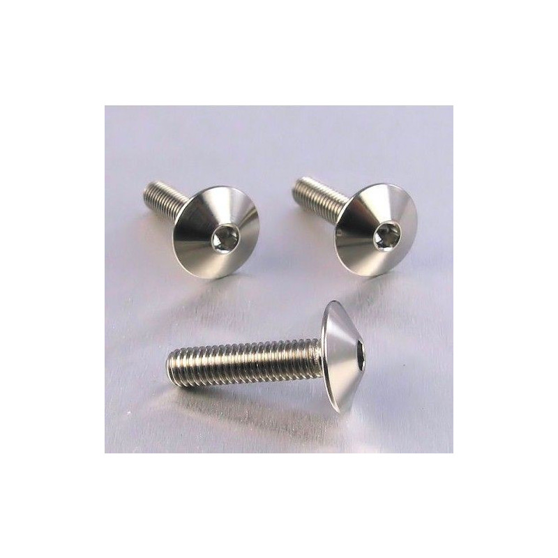 Vis Titane tête Bombée M6 x 1.00mm x 25mm