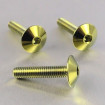 Vis Titane tête Bombée M6 x 1.00mm x 30mm