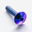 Vis Titane tête Bombée M6 x 1.00mm x 30mm