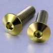 Vis Titane tête Bombée M8 x 1.25mm x 25mm