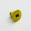 Vis Titane tête Fraisée M5 x 0.8mm x 8mm