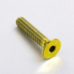 Vis Titane tête Fraisée M5 x 0.8mm x 25mm