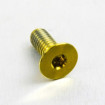 Vis Titane tête Fraisée M6 x 1.00mm x 15mm