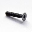 Vis Titane tête Fraisée M6 x 1.00mm x 30mm