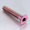 Vis Titane tête Fraisée M6 x 1.00mm x 35mm