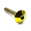 Vis Titane à Tête Bombée M6 x 1.00mm x 40mm Complètement Filetée