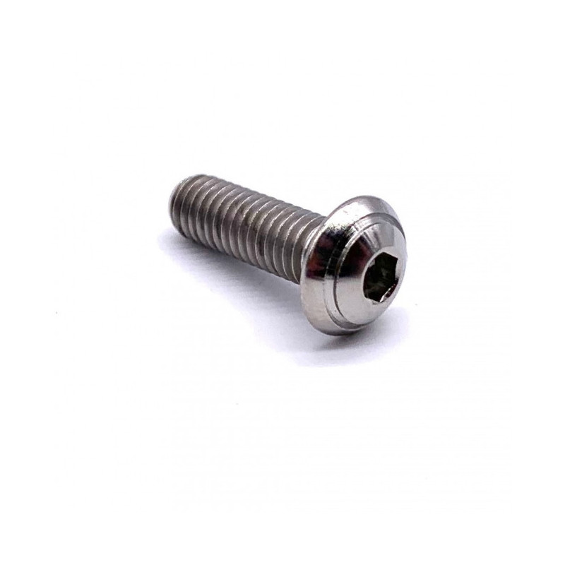 Vis Titane Tête Bombée BT M5 x 0.8mm x 15mm