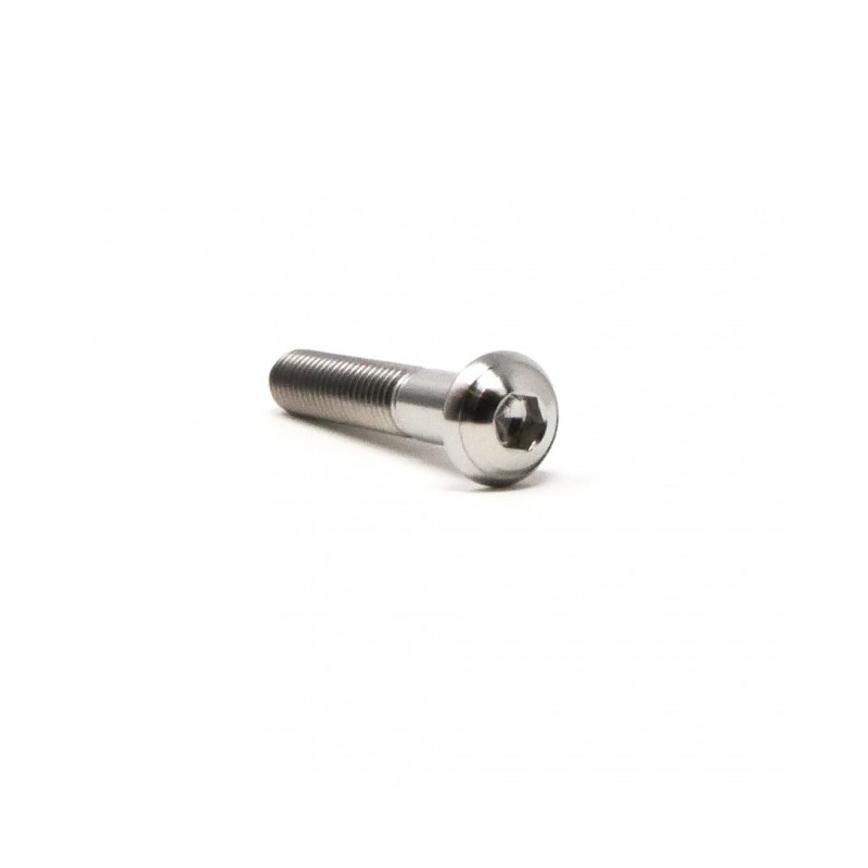 Vis Titane Tête Bombée BT M6 x (1.00mm) x 35mm