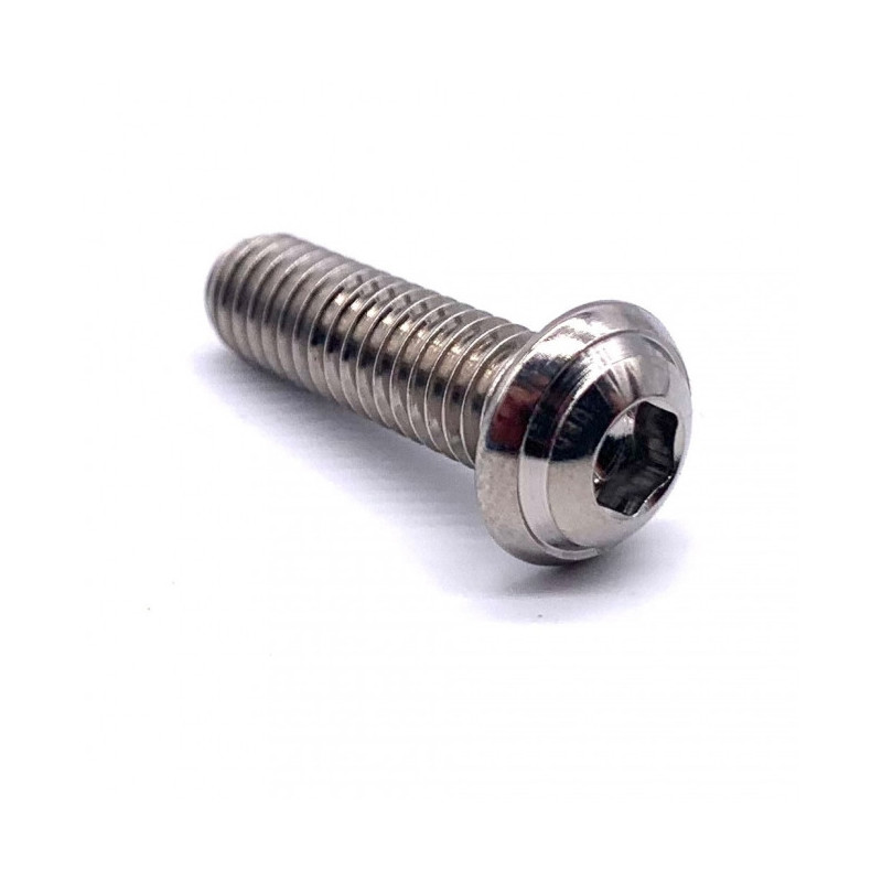 Vis Titane Tête Bombée BT M6 x (1.00mm) x 18mm