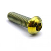 Vis Titane Tête Bombée BT M6 x (1.00mm) x 18mm