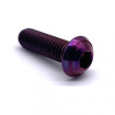 Vis Titane Tête Bombée BT M6 x (1.00mm) x 18mm