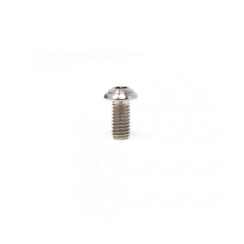 Vis Titane Tête Bombée BT M6 x (1.00mm) x 12mm