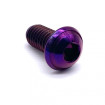 Vis Titane Tête Bombée BT M6 x (1.00mm) x 12mm