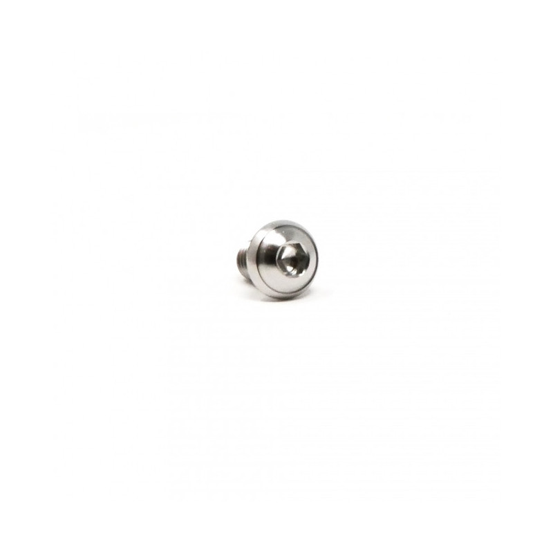 Vis Titane Tête Bombée BT M6 x (1.00mm) x 10mm