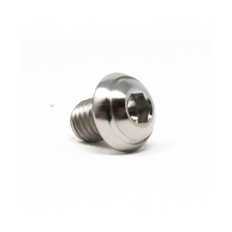 Vis Titane Tête Bombée BT M8 x (1.25mm) x 10mm