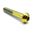 Vis Titane Tête Bombée BT M8 x (1.25mm) x 45mm