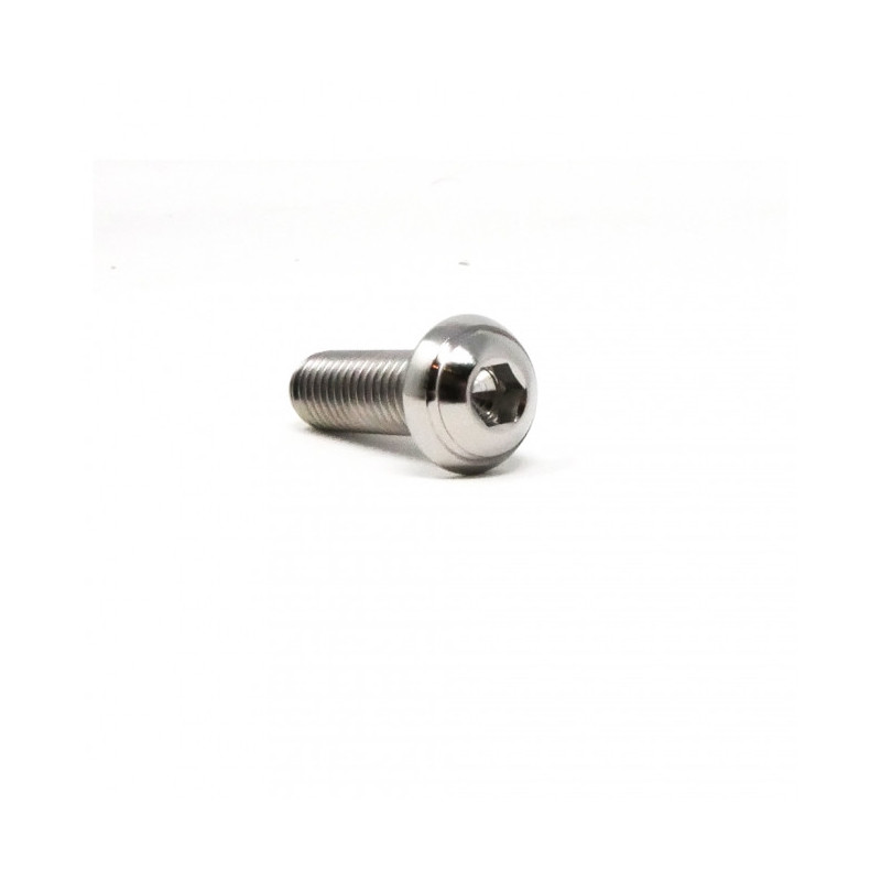 Vis Titane Tête Bombée BT M8 x (1.25mm) x 25mm