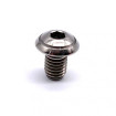 Vis Titane Tête Bombée BT M5 x (0.8mm) x 8mm