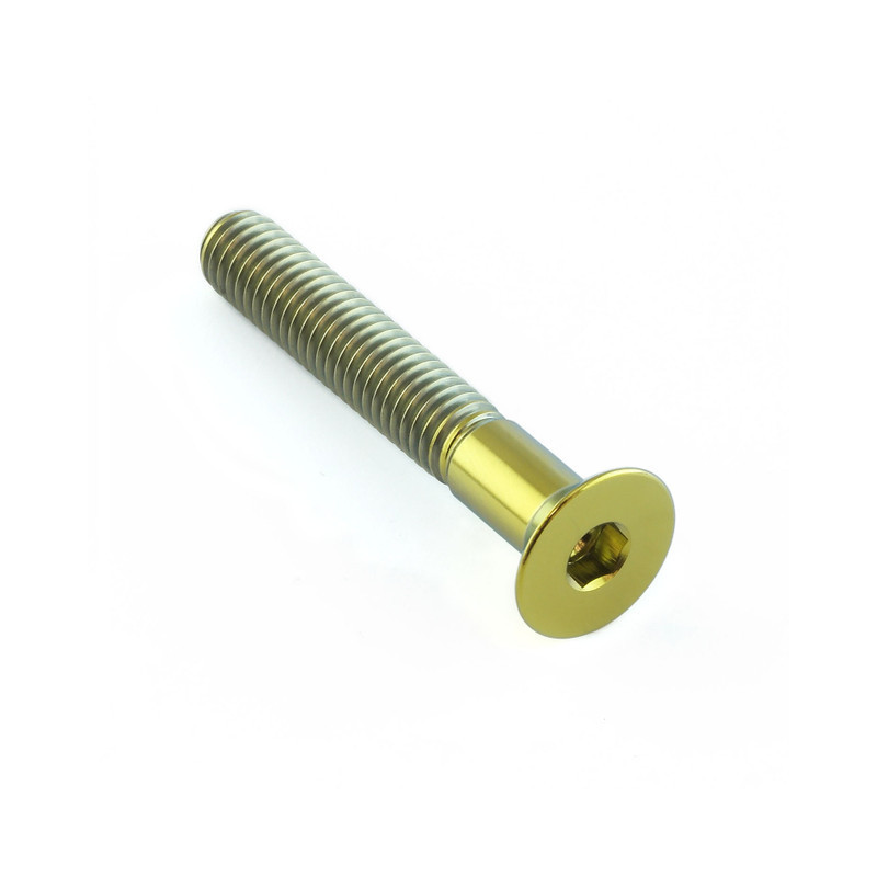 Vis Titane tête Fraisée M6 x 1.00mm x 40mm